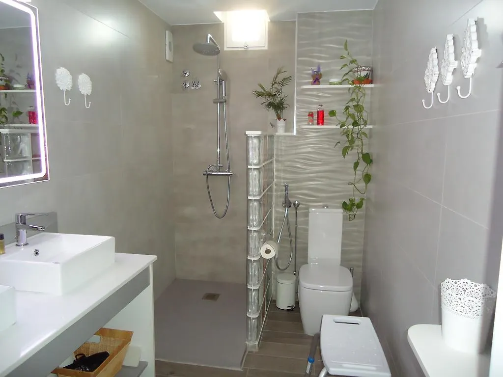 Atico Mulhacen Apartment Granada Spain