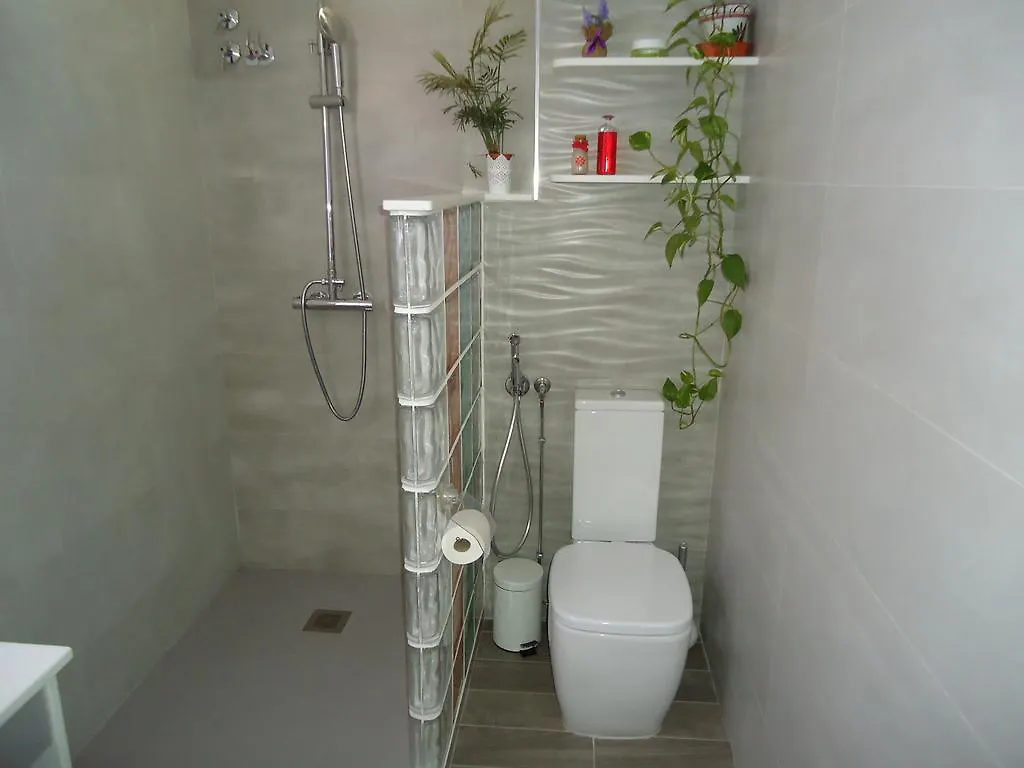 Atico Mulhacen Apartment Granada