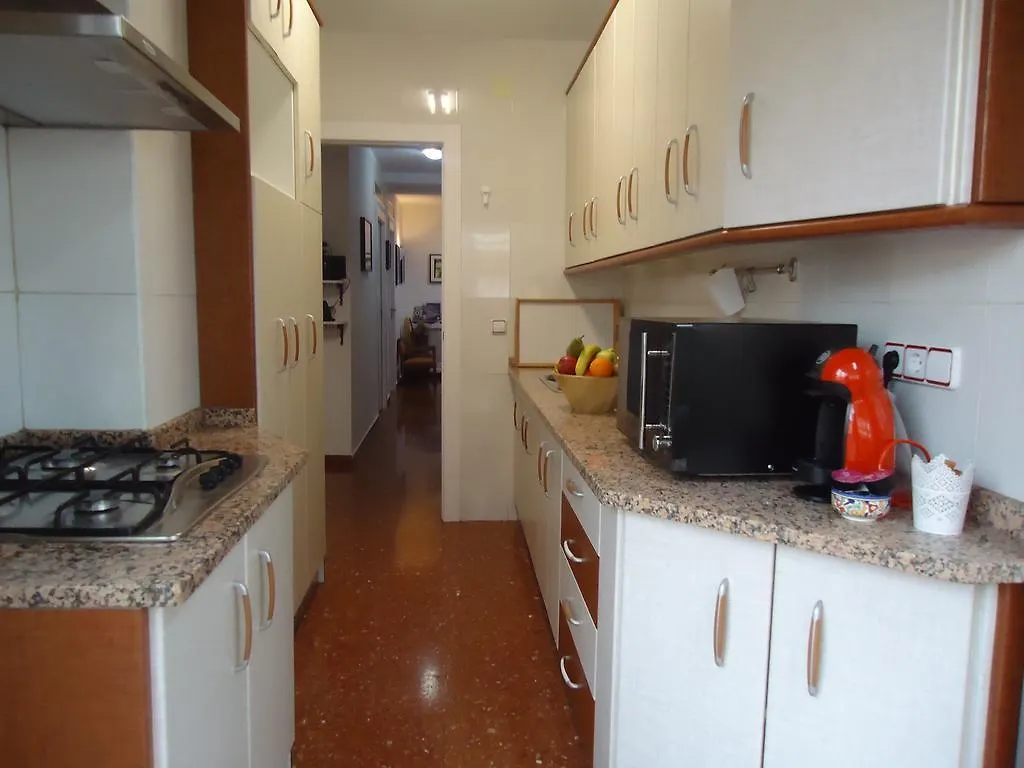 Atico Mulhacen Apartment Granada