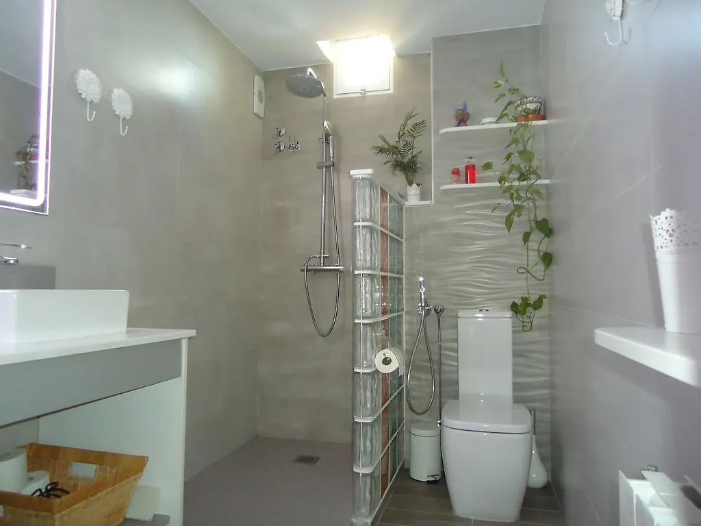 Atico Mulhacen Apartment Granada